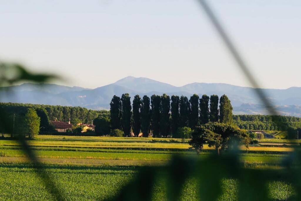 La Casa Nei Campi Villa Badia Pavese Dış mekan fotoğraf