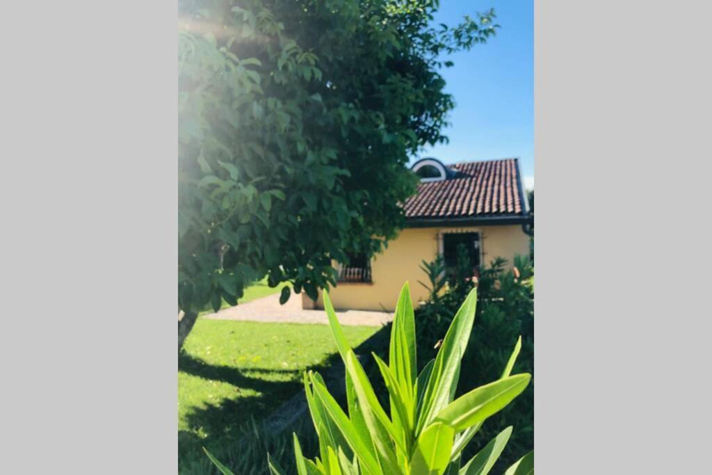 La Casa Nei Campi Villa Badia Pavese Dış mekan fotoğraf