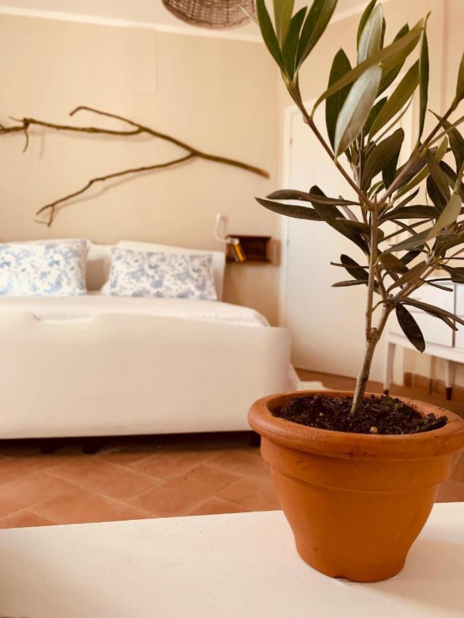 La Casa Nei Campi Villa Badia Pavese Dış mekan fotoğraf