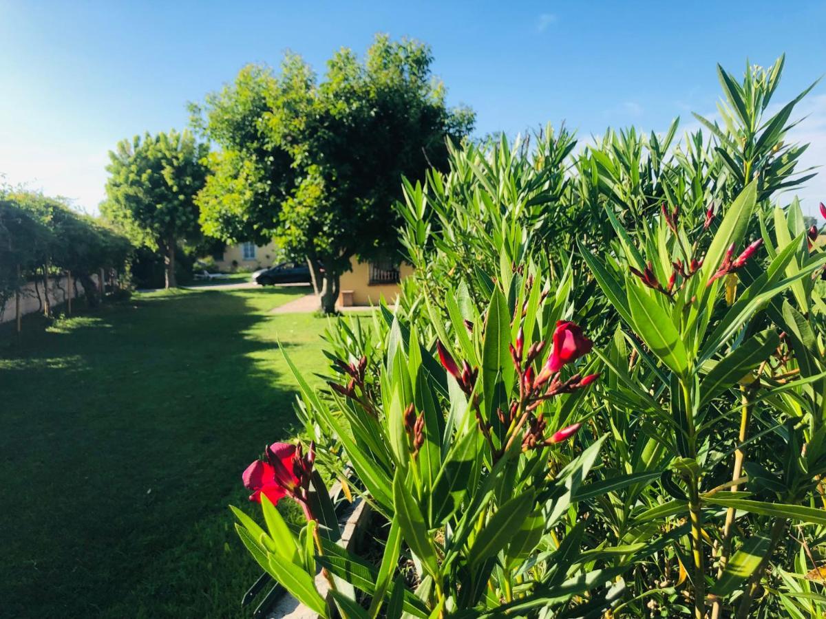 La Casa Nei Campi Villa Badia Pavese Dış mekan fotoğraf
