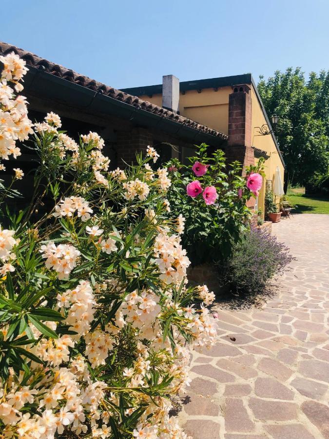 La Casa Nei Campi Villa Badia Pavese Dış mekan fotoğraf